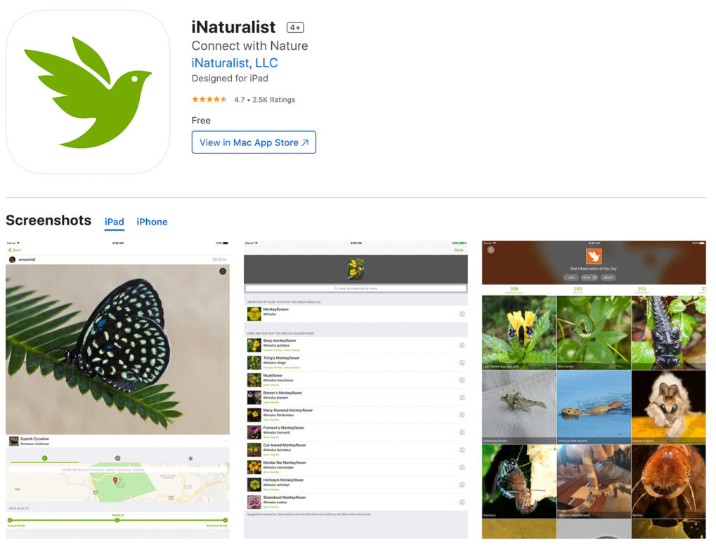 APP iNaturalist para iPhone